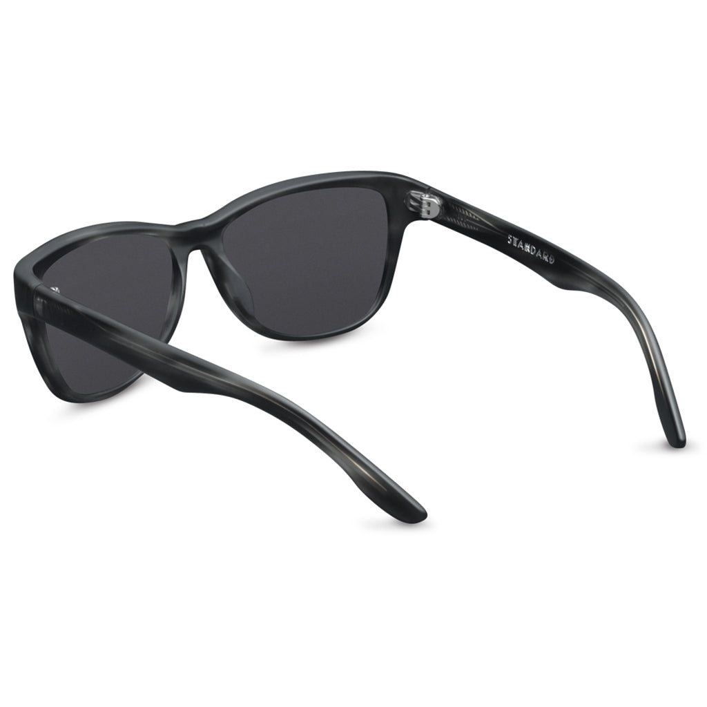 Estándar: Tortuga gris mate / Lente gris