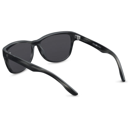 Estándar: Tortuga gris mate / Lente gris
